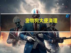 宠物狗大便清理