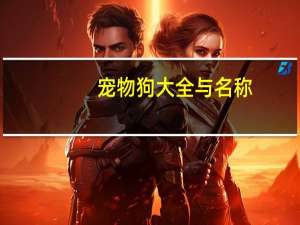 宠物狗大全与名称