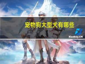 宠物狗大型犬有哪些