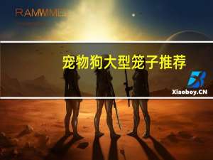 宠物狗大型笼子推荐