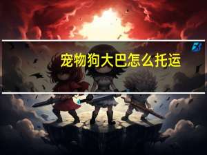 宠物狗大巴怎么托运