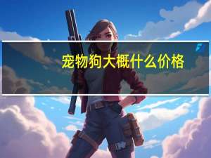 宠物狗大概什么价格