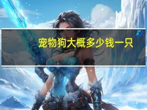 宠物狗大概多少钱一只
