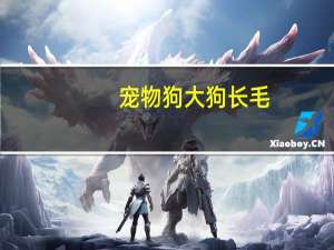 宠物狗大狗长毛