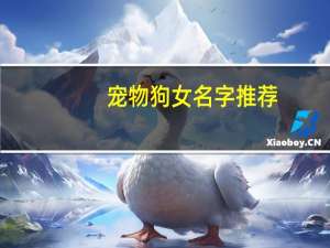 宠物狗女名字推荐
