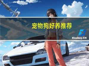 宠物狗好养推荐