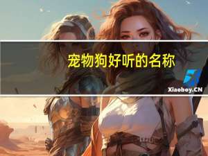 宠物狗好听的名称