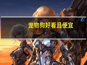 宠物狗好看且便宜