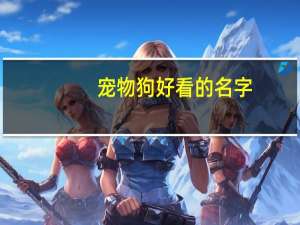 宠物狗好看的名字
