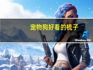 宠物狗好看的梳子