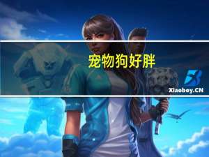 宠物狗好胖