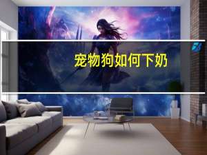 宠物狗如何下奶