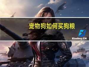 宠物狗如何买狗粮