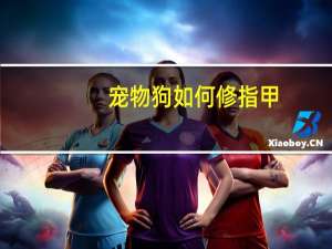 宠物狗如何修指甲