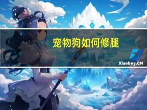 宠物狗如何修腿