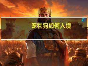 宠物狗如何入境