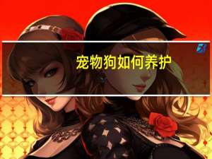 宠物狗如何养护