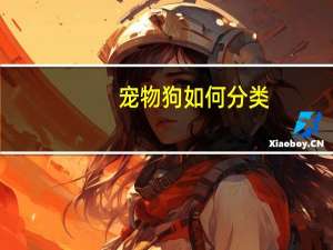 宠物狗如何分类