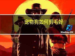 宠物狗如何剪毛好