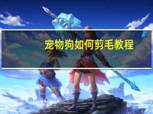 宠物狗如何剪毛教程