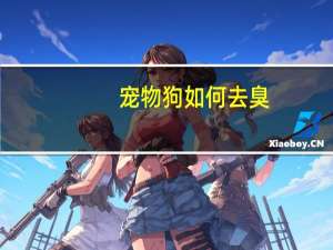 宠物狗如何去臭