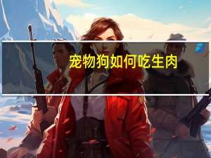 宠物狗如何吃生肉