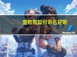 宠物狗如何命名好听