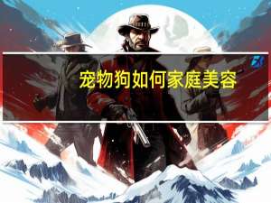 宠物狗如何家庭美容
