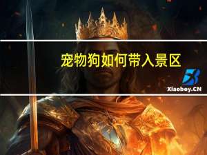 宠物狗如何带入景区