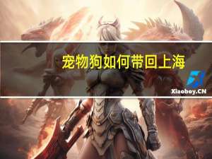 宠物狗如何带回上海