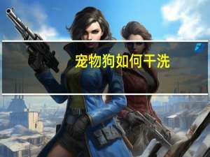 宠物狗如何干洗
