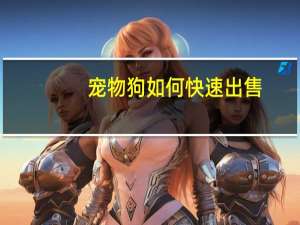 宠物狗如何快速出售