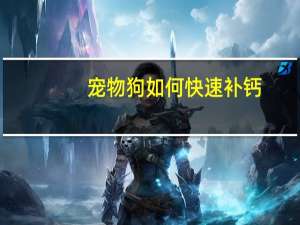 宠物狗如何快速补钙
