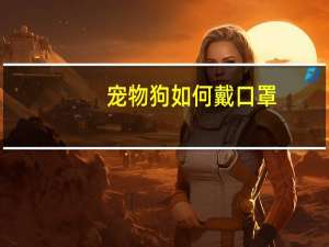 宠物狗如何戴口罩