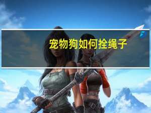 宠物狗如何拴绳子