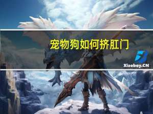 宠物狗如何挤肛门