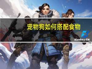 宠物狗如何搭配食物