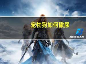 宠物狗如何撒尿
