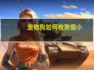 宠物狗如何检测细小