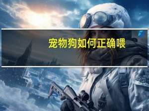 宠物狗如何正确喂