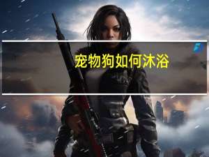 宠物狗如何沐浴