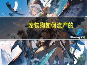 宠物狗如何流产的
