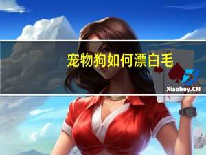 宠物狗如何漂白毛