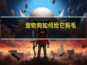 宠物狗如何给它剪毛