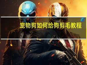 宠物狗如何给狗剪毛教程