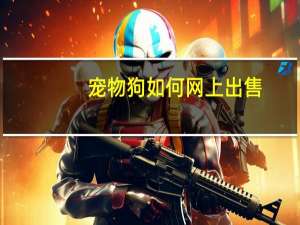 宠物狗如何网上出售