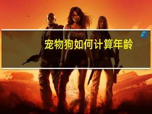 宠物狗如何计算年龄