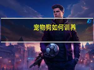 宠物狗如何训养