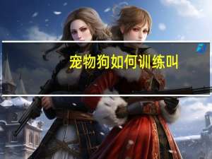宠物狗如何训练叫
