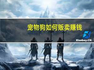 宠物狗如何贩卖赚钱
